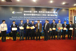 2009年中國沈陽軟件出口與服務外包峰會 共謀產業發展新篇章